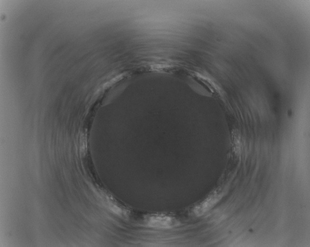 X0000062670471200512230951