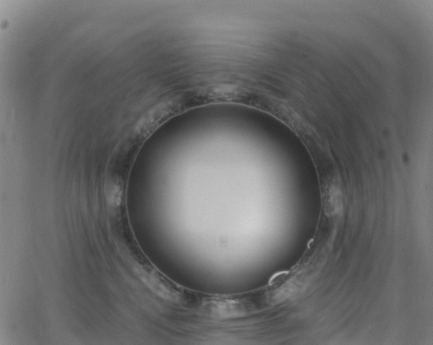 X0000062670472200512230951