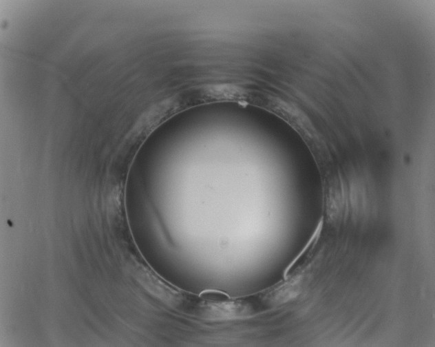 X0000062670473200512230951