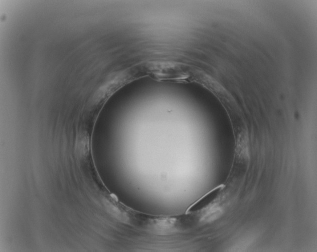 X0000062670474200512230951