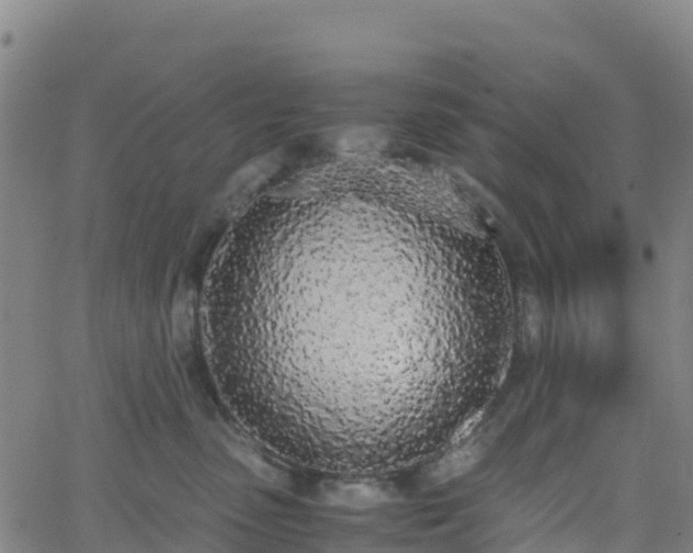 X0000062670475200512230951