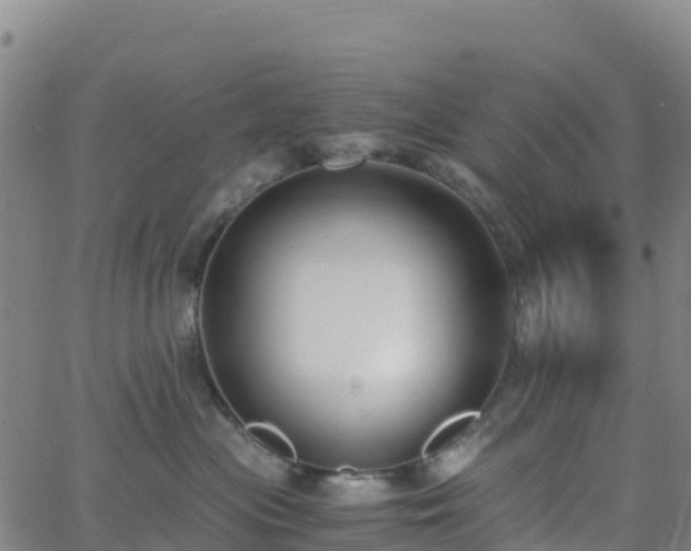 X0000062670477200512230951