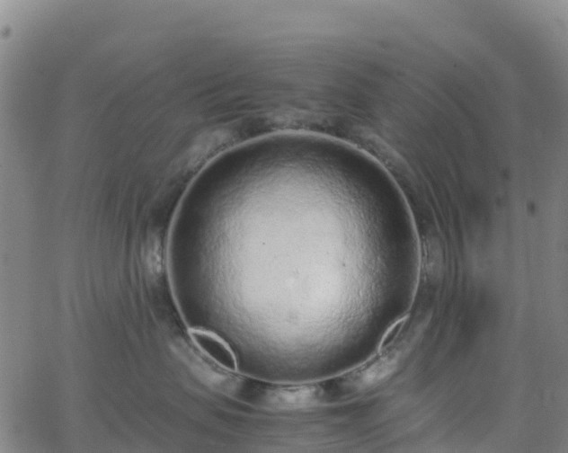 X0000062670479200512230951