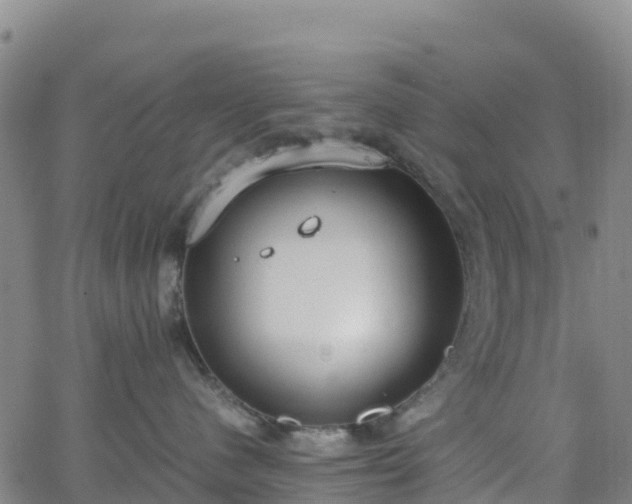 X0000062670480200512230951