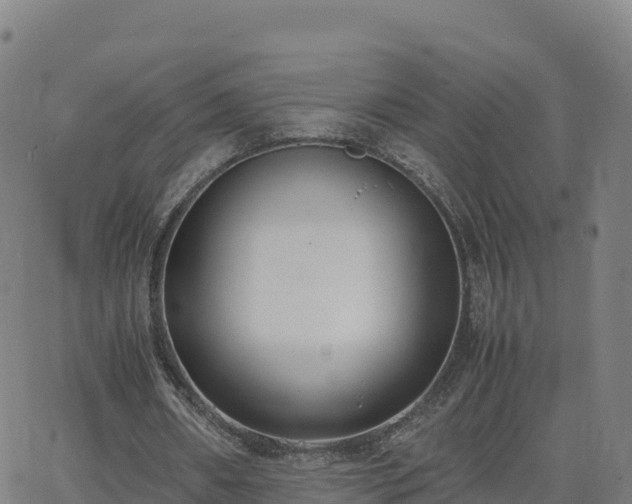 X0000062670482200512230950