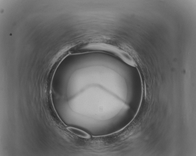 X0000062670483200512230950