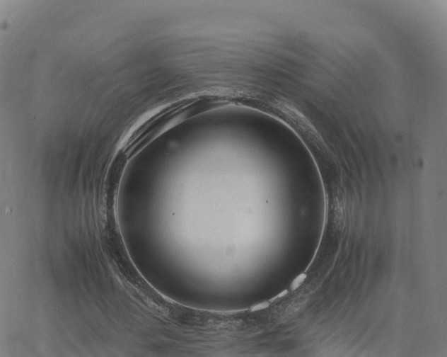 X0000062670484200512230950