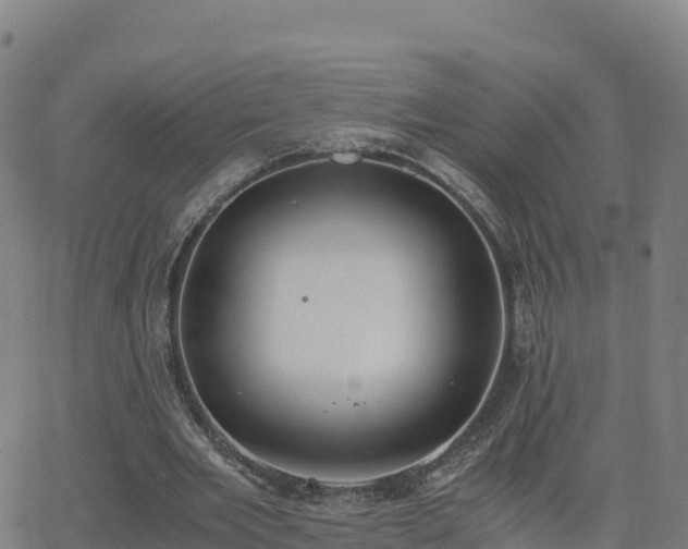 X0000062670485200512230950