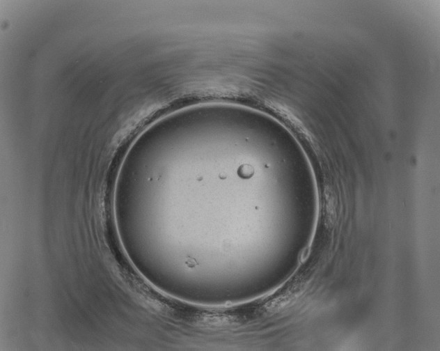 X0000062670487200512230950