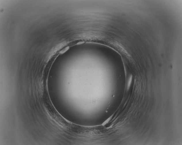 X0000062670488200512230950