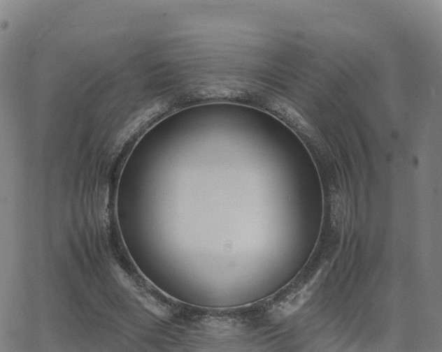 X0000062670490200512230950