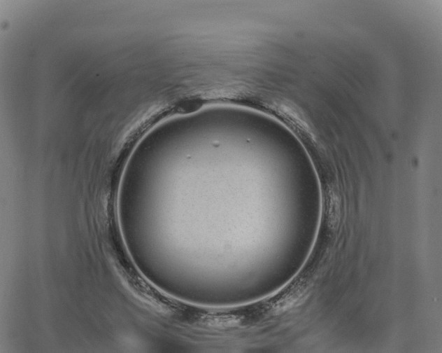 X0000062670491200512230950