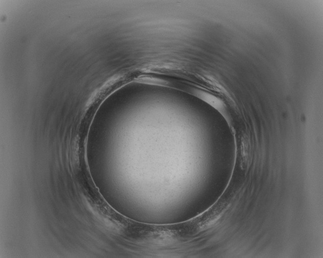 X0000062670492200512230950