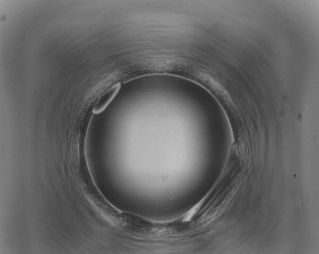 X0000062670493200512230950