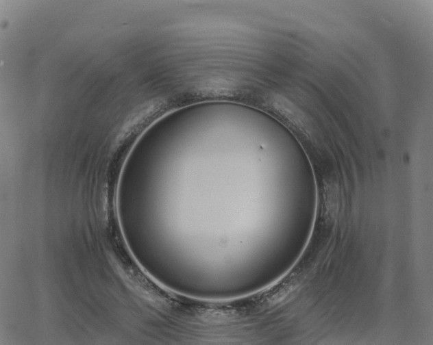 X0000062670494200512230950