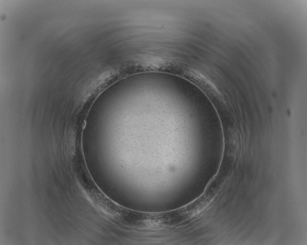 X0000062670496200512230950