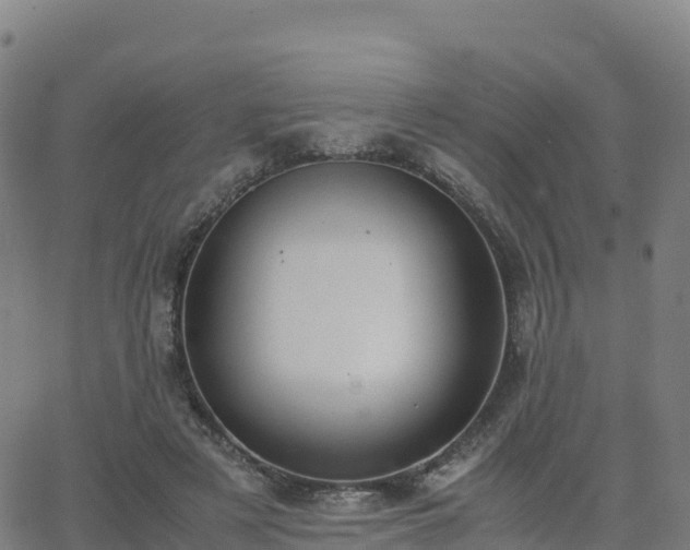 X0000062670497200512230950