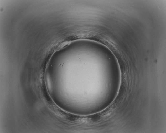 X0000062670499200512230950