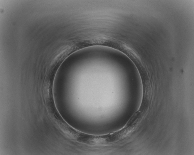 X0000062670501200512230950