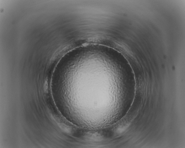 X0000062670502200512230950