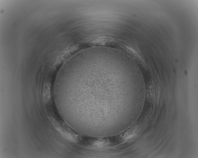 X0000062670504200512230950