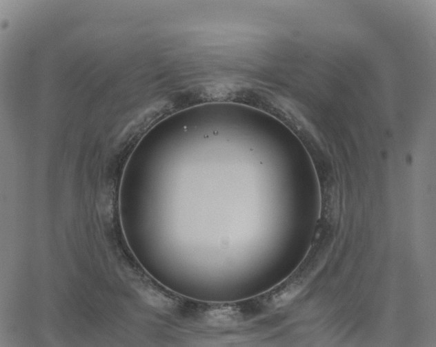 X0000062670505200512230950