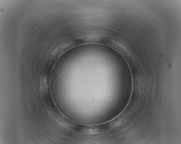 X0000062670506200512230950