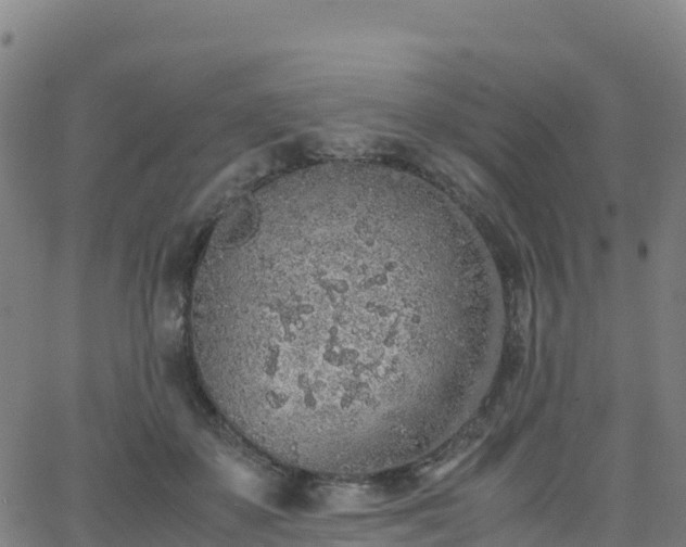 X0000062670507200512230950