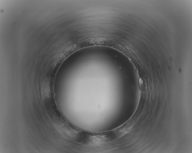 X0000062670508200512230950