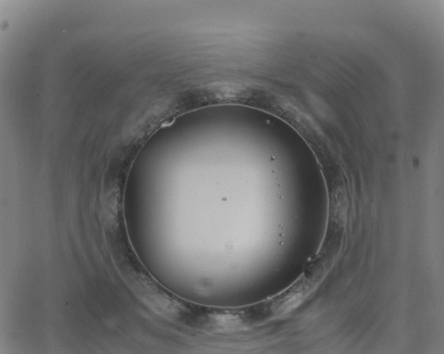 X0000062670509200512230950