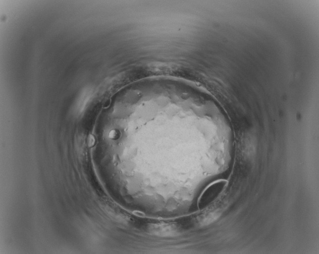 X0000062670511200512230950