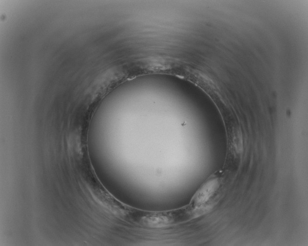 X0000062670512200512230950