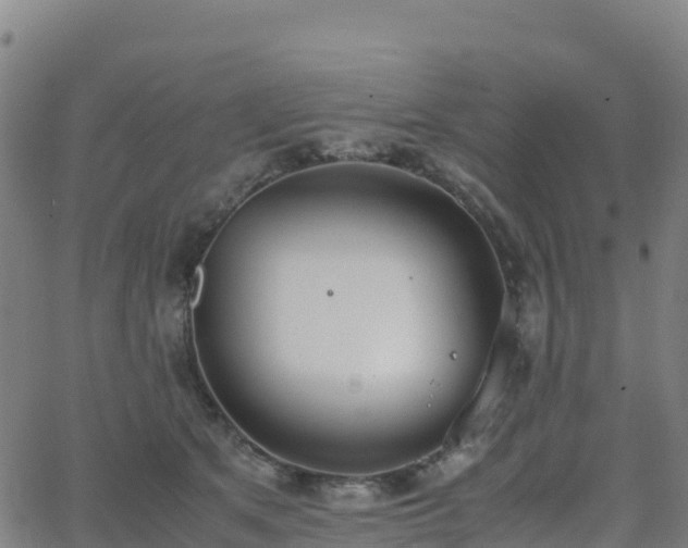 X0000062670513200512230950