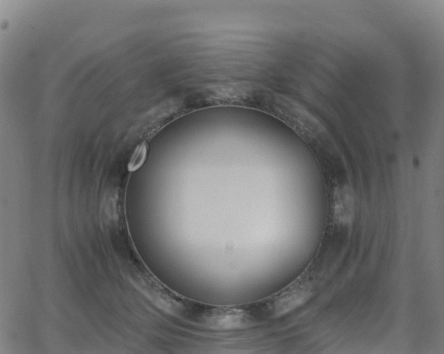 X0000062670514200512230950