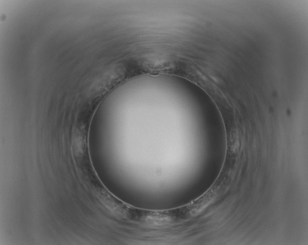 X0000062670515200512230950