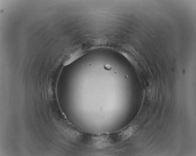 X0000062670516200512230950