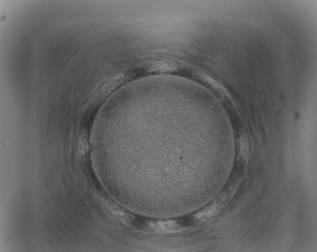 X0000062670517200512230950