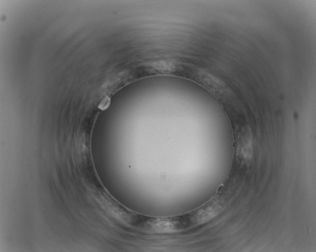 X0000062670518200512230950