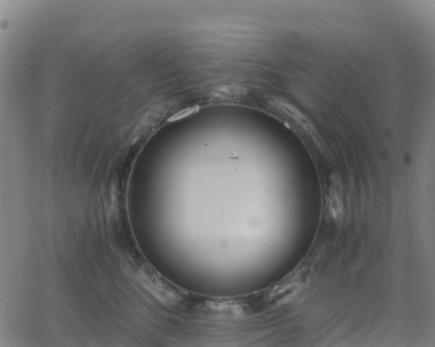 X0000062670520200512230950