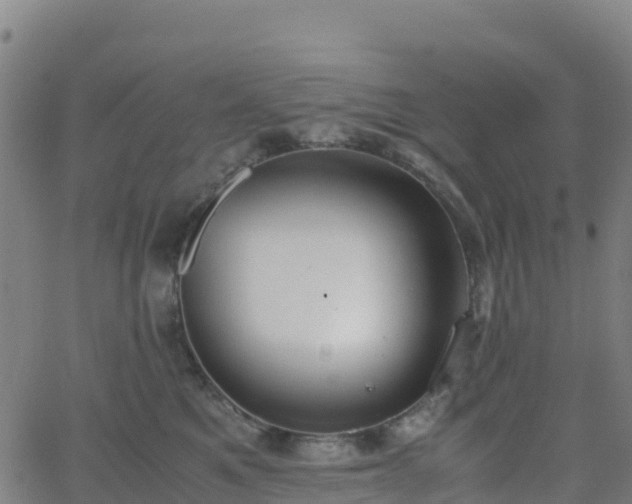 X0000062670521200512230950