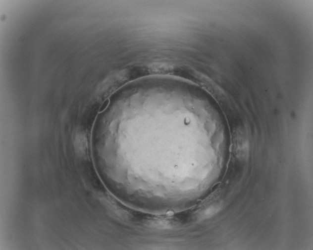 X0000062670523200512230950