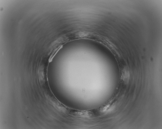 X0000062670524200512230950