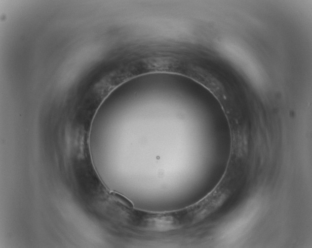 X0000062670525200512230950