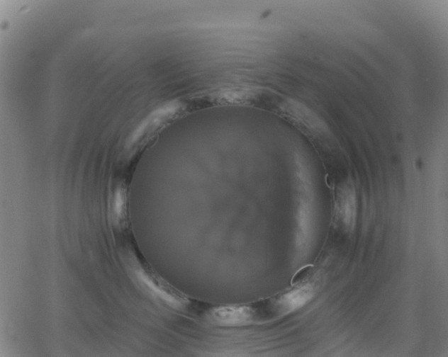 X0000062670526200512230950