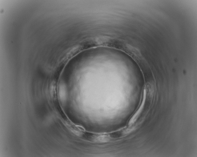 X0000062670527200512230950