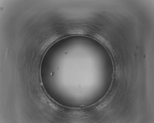 X0000062670529200512230949