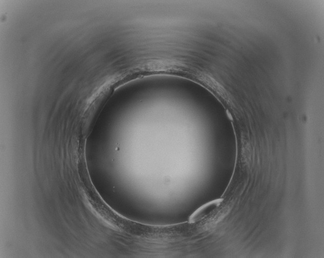 X0000062670530200512230949