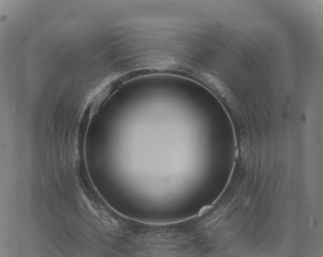 X0000062670532200512230949