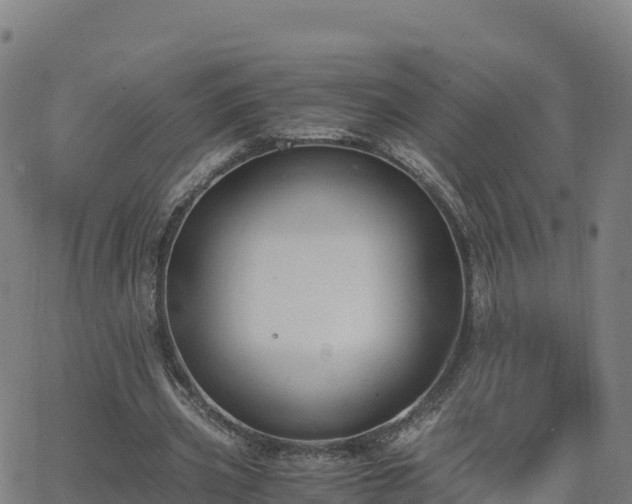 X0000062670533200512230949