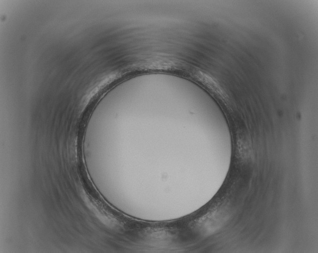 X0000062670534200512230949